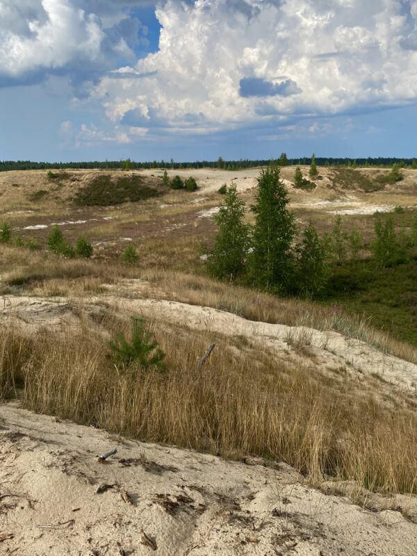 1. Metsa- ja põlendikuretk (gruppidele) - Image 4