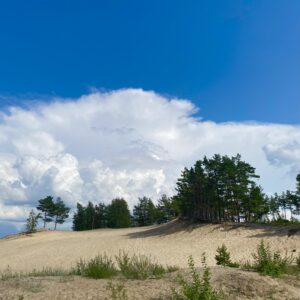 6. Metsa- ja põlendikuretk
