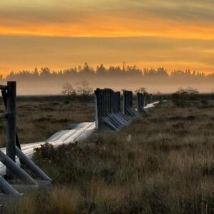 4. Rabamatk koos hommikusöögiga Marimetsa rabas 22. novembril