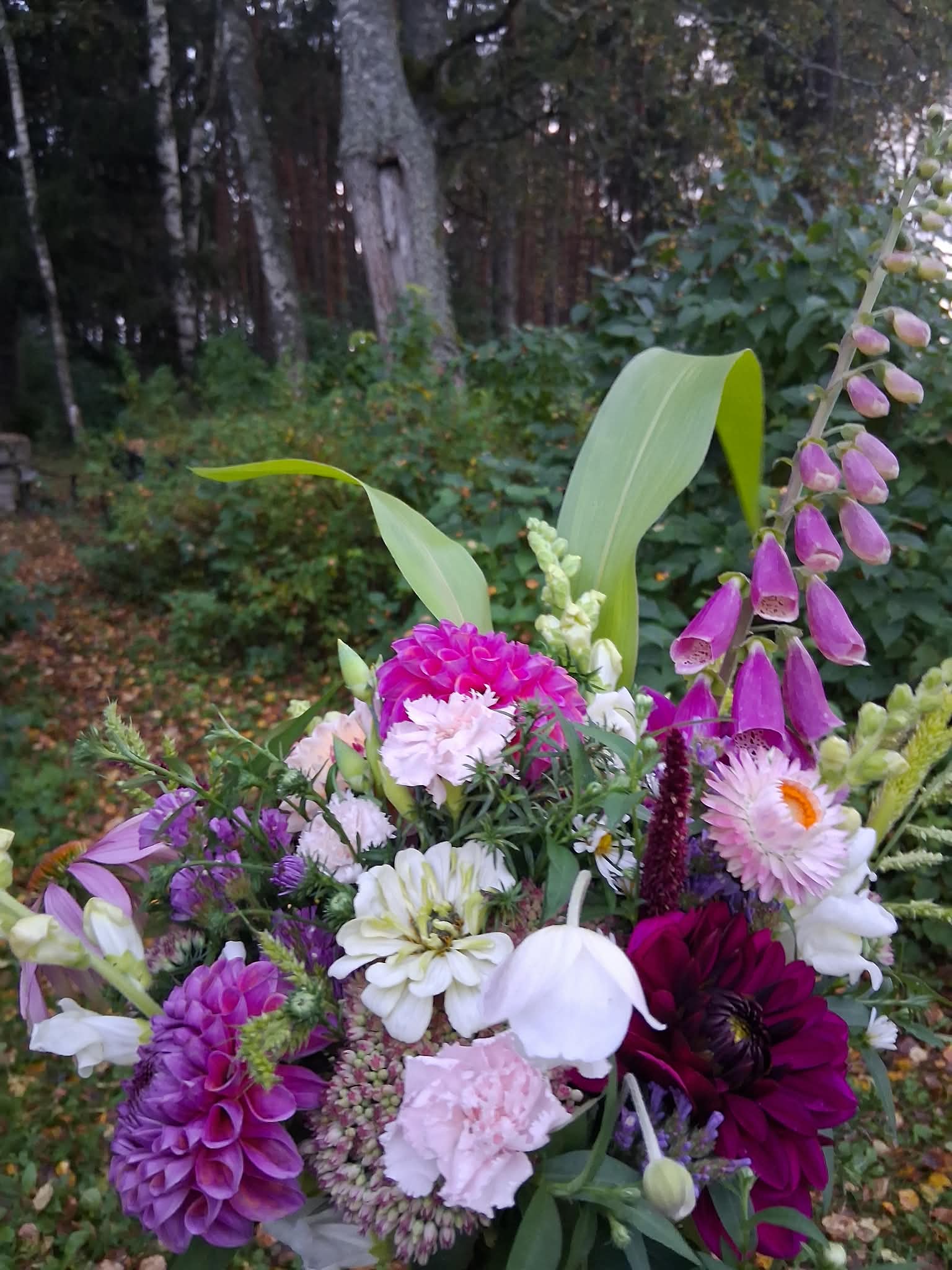 6. Kevadmatk koos lilleseade töötoaga (gruppidele) - Image 5