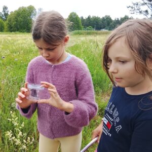 7. Putukasõbra päevalaager 14. augustil