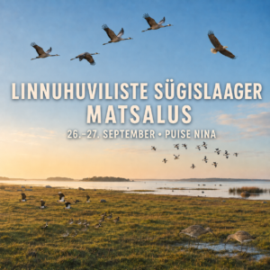1. Linnuhuviliste sügislaager Matsalus