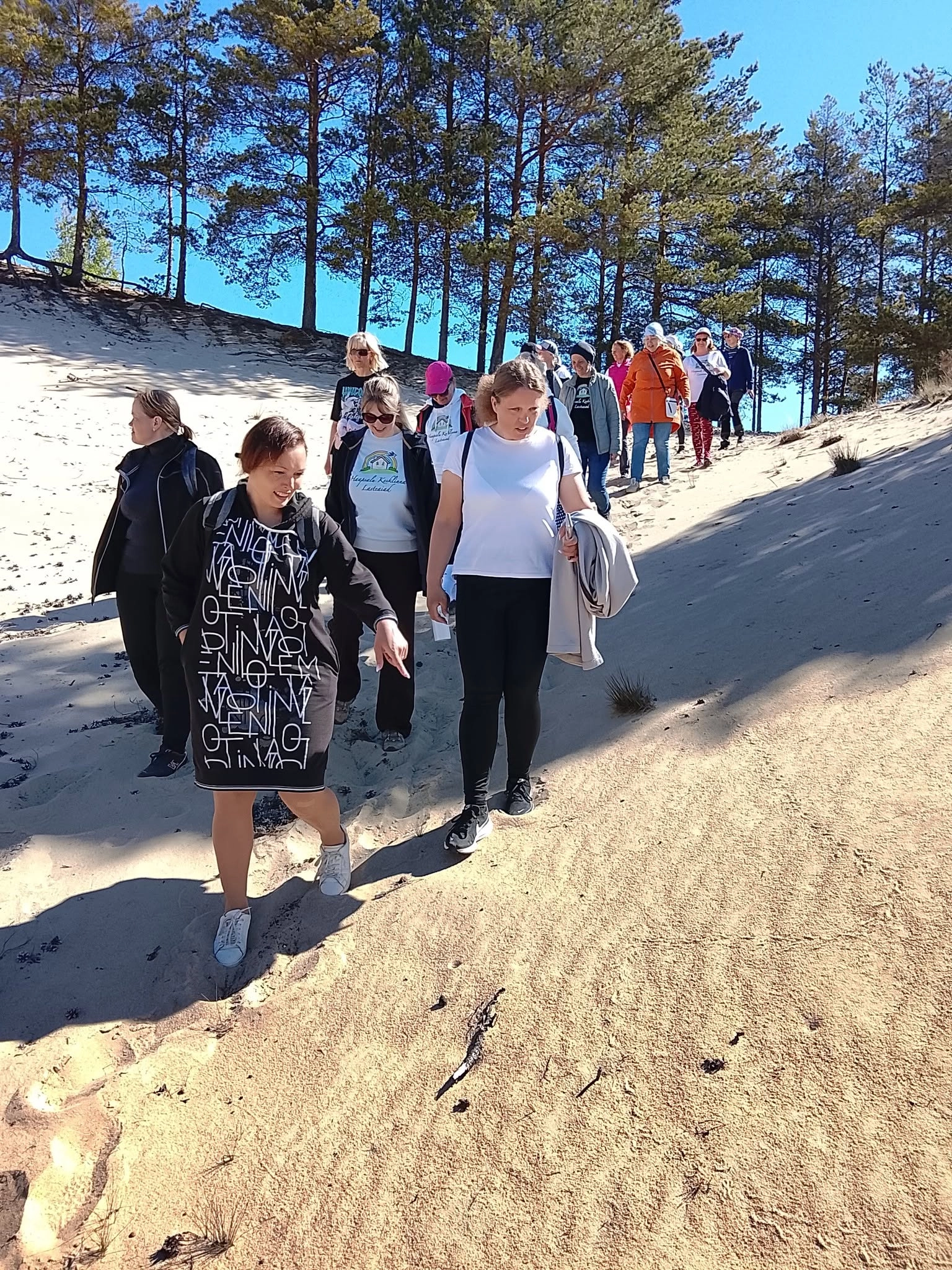 Veskijärve põlendik