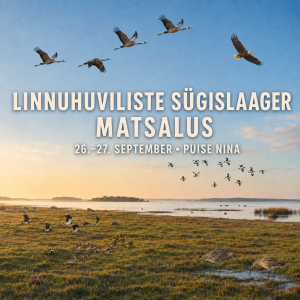 1. Linnuhuviliste sügislaager Matsalus